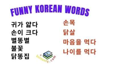 funny korean words